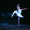 American Ballet Theatre