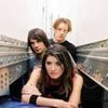 Sick Puppies