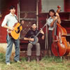 The Avett Brothers