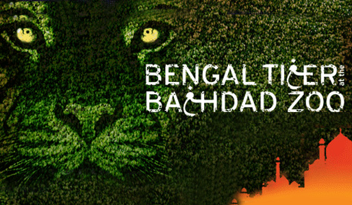 Bengal Tiger at the Baghdad Zoo