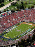 rose-bowl